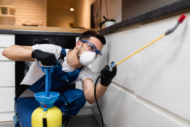 Best Rat Extermination Near Me  in Pleasant Hill, IA