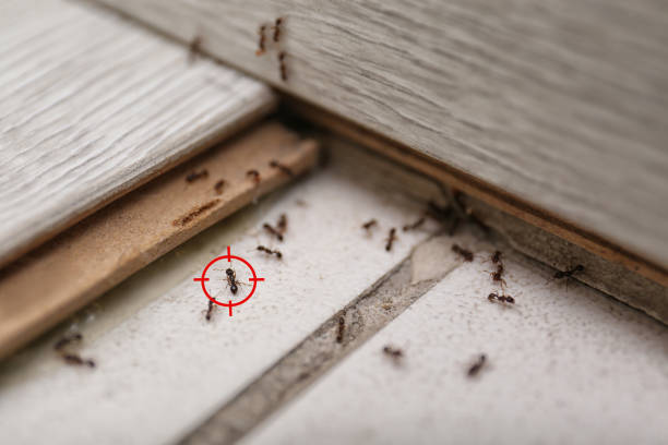 Pleasant Hill, IA Pest Control Company