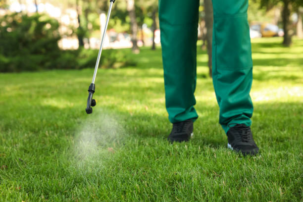 Best Pest Control Near Me in Pleasant Hill, IA