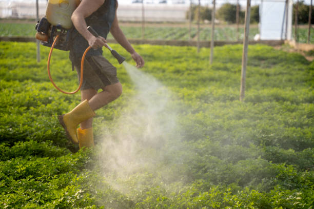Best Best Pest Control Near Me  in Pleasant Hill, IA