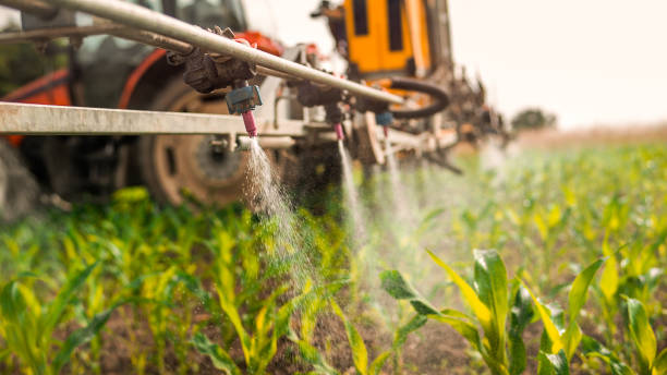 Best Mosquito Control Services  in Pleasant Hill, IA